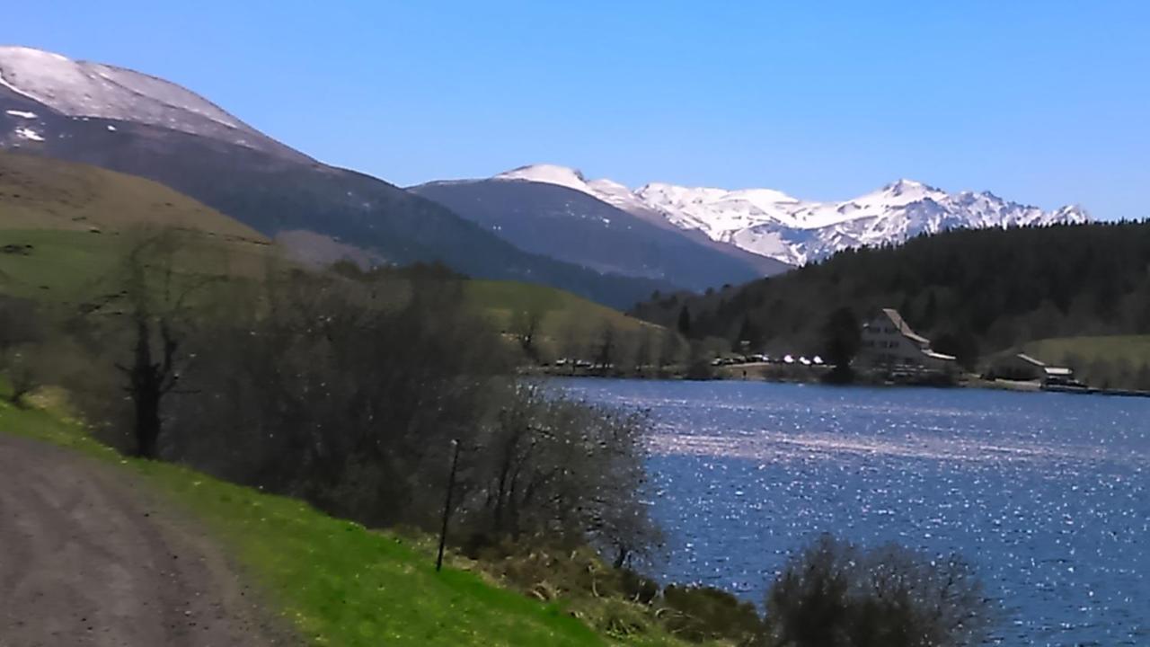 Tulipe, Appartement 5 Personnes, Entre Sancy Et Volcans D'Auvergne Orcival Buitenkant foto