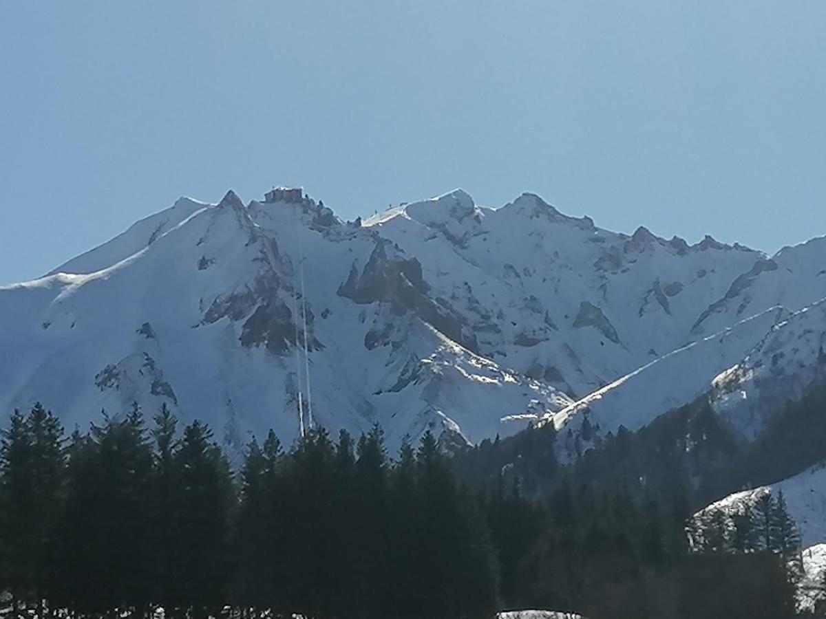 Tulipe, Appartement 5 Personnes, Entre Sancy Et Volcans D'Auvergne Orcival Buitenkant foto