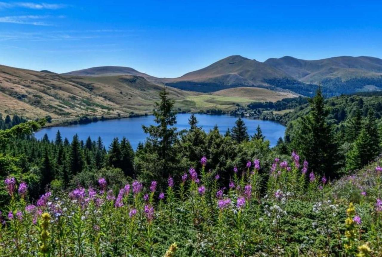 Tulipe, Appartement 5 Personnes, Entre Sancy Et Volcans D'Auvergne Orcival Buitenkant foto