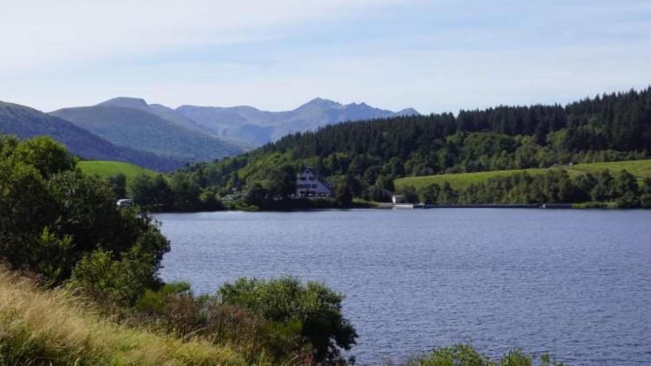 Tulipe, Appartement 5 Personnes, Entre Sancy Et Volcans D'Auvergne Orcival Buitenkant foto